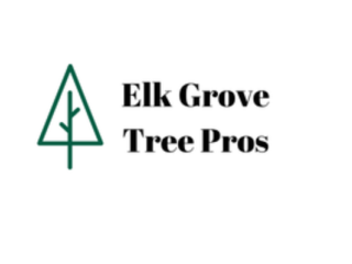 Ensure Expert Care and Maintenance with Reliable tree service elk grove ca