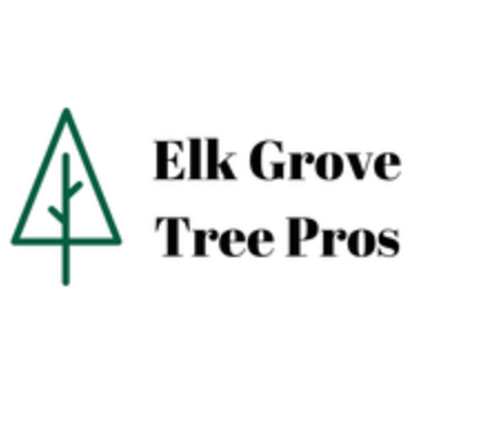 elk-grove-tree-pros-big-0