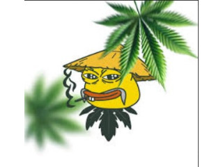 Cannabis-deal. com 5% off everything