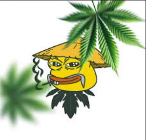 cannabis-deal-com-5-off-everything-big-0