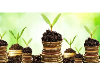 Equity Financing Options for Small Businesses | Debt & Banking Corporate Carve-out