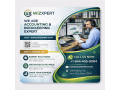wizxpert-provides-accounting-bookkeeping-for-small-businesses-small-0