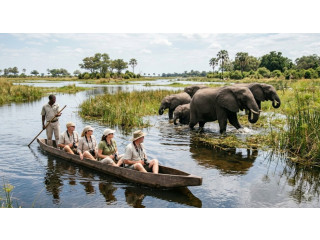 Botswana eVisa for Democratic Republic of the Congo Citizens