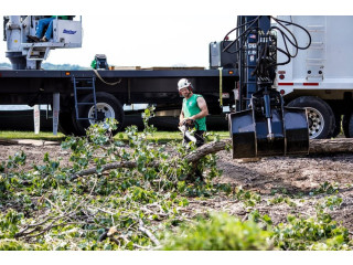 Safe & Reliable Tree Care from a Licensed Tree Removal Company