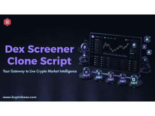 Build a User-Friendly Crypto Data Platform with Dex Screener Clone Script