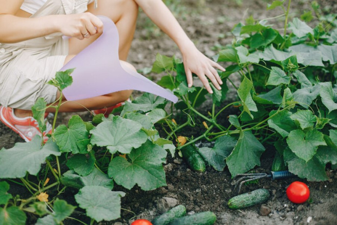 raised-vegetable-garden-big-0