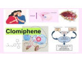 clomiphens-function-in-treating-ovarian-dysfunction-small-0