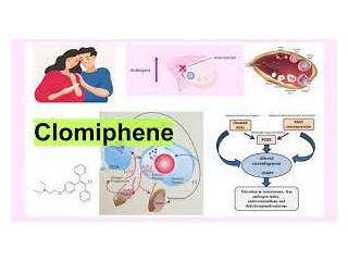 Clomiphen's Function in Treating Ovarian Dysfunction