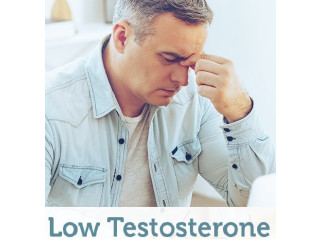Enhance Your Testosterone Level Androxal Helps Restore Normal Testicular Function.