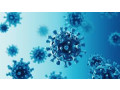 molnupiravir-200-mg-capsule-antiviral-medication-to-treat-covid-19-and-sars-cov-2-small-0