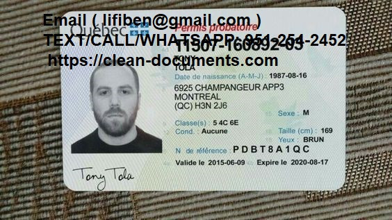 passportsdrivers-licensesid-big-1