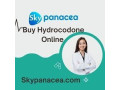 order-hydrocodone-online-swift-and-efficient-delivery-in-new-york-usa-small-0