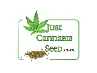 JCS Contests Win Free Cannabis Seeds