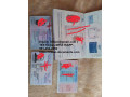 documents-ids-passports-small-0