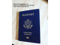 passportsdrivers-licensesid-cards-small-3