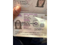 passportsdrivers-licensesid-cards-small-1