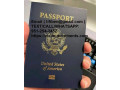 registered-passport-id-card-driving-license-visa-green-card-residence-small-1